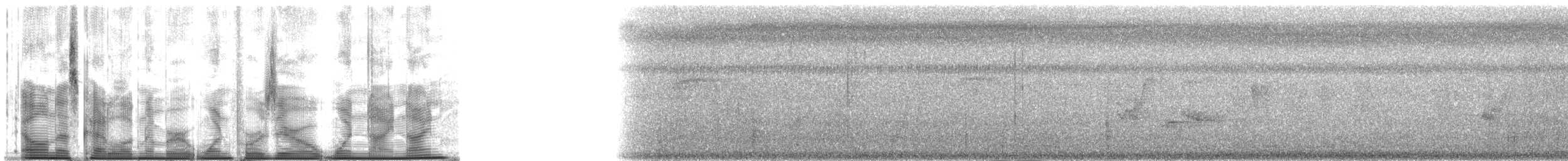 Горлиця сулуйська - ML140199