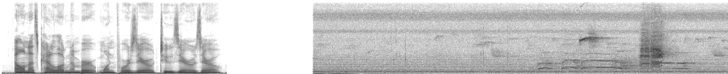 Дронго чорний - ML140200