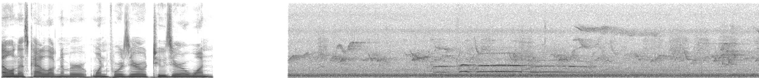 Ворона гуамська - ML140201