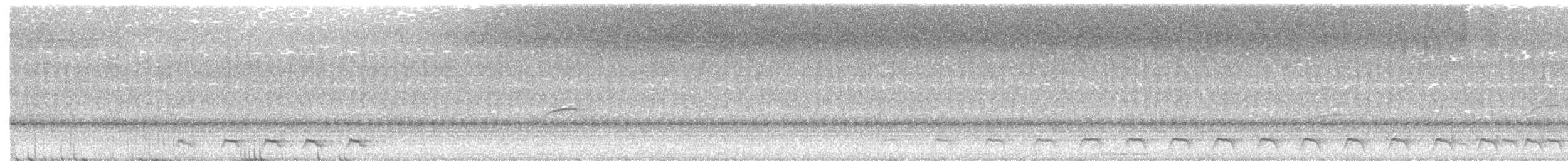 Trogon pattu - ML140201681