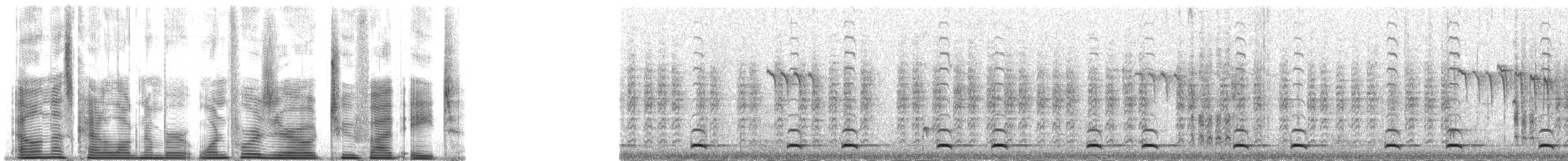 Сичик-горобець гірський (підвид gnoma) - ML140258
