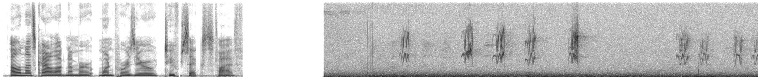 Медовичка кардиналова - ML140265