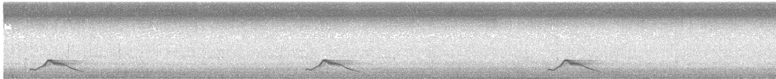Pauraquenachtschwalbe - ML140274761