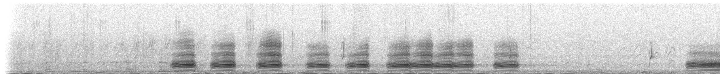 Schildrabe - ML140363321