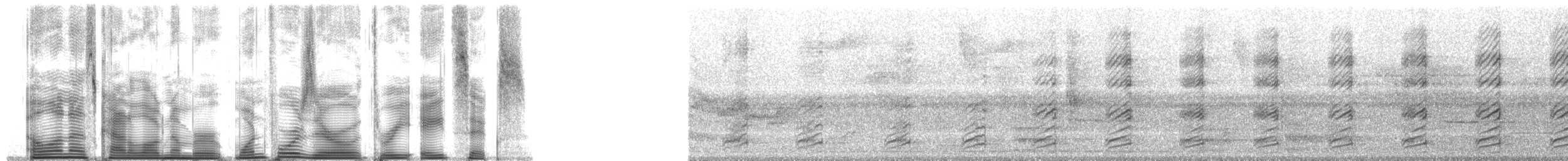 Groove-billed Toucanet (Groove-billed) - ML140386