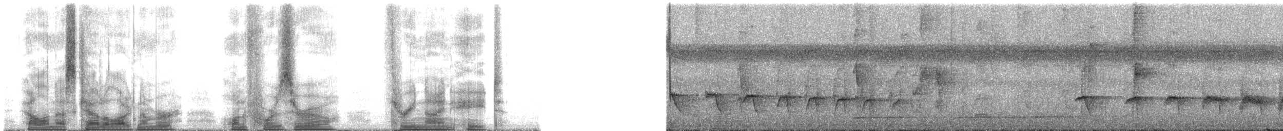 Yellow-breasted Warbling-Antbird - ML140398