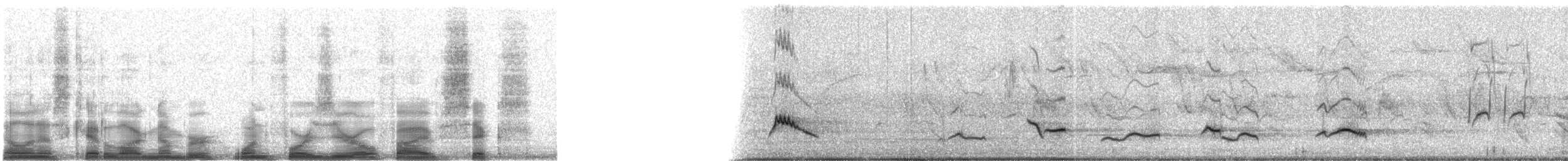 Nacktaugendrossel - ML14056