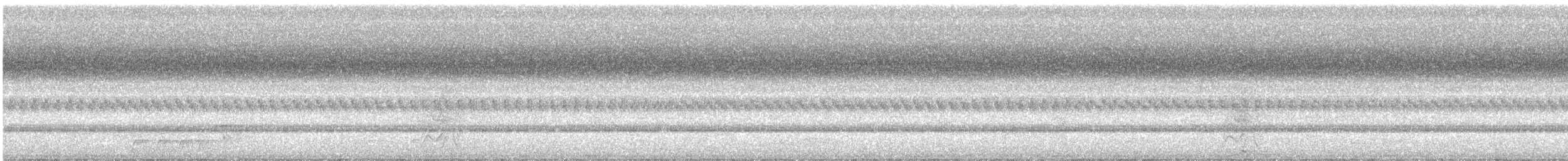 Black-winged Monarch - ML140593281