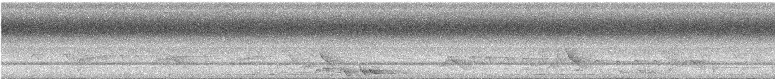 Black-winged Monarch - ML140594181