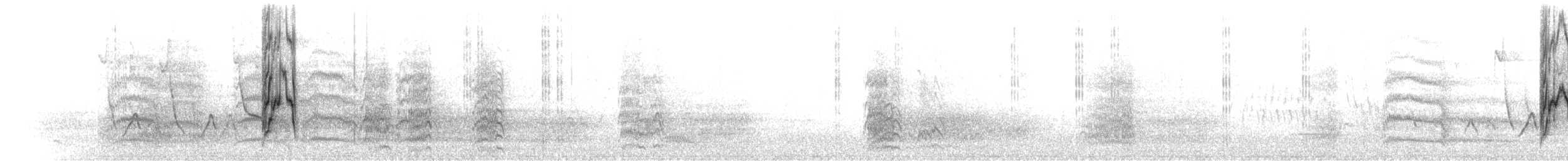 mníšek šedý (ssp. luchsi) - ML140605201