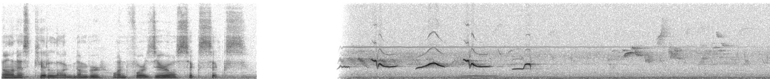 Nacktaugendrossel - ML14066