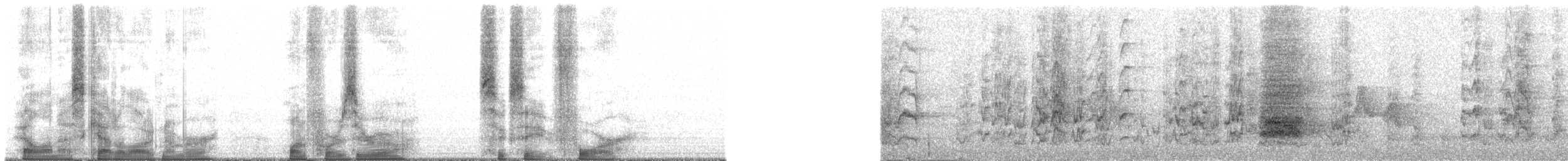 Коронованная которра (peruviana/dilutissima) - ML140684