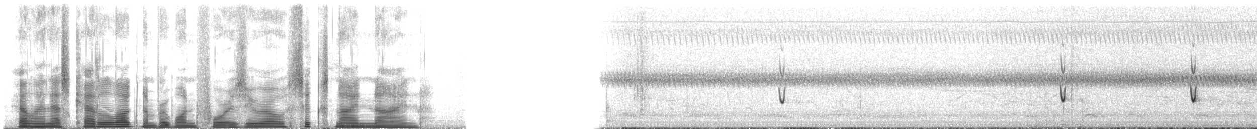 White-tailed Kite - ML140699