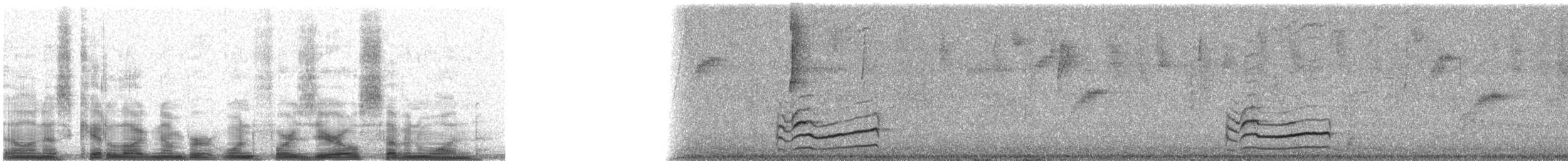 Spectacled Thrush - ML14071