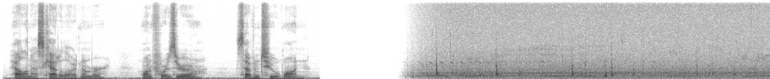 Tinamou de Darwin - ML140721