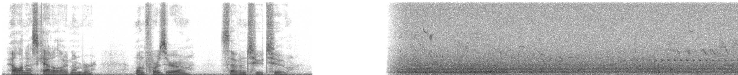 Ornate Tinamou - ML140722