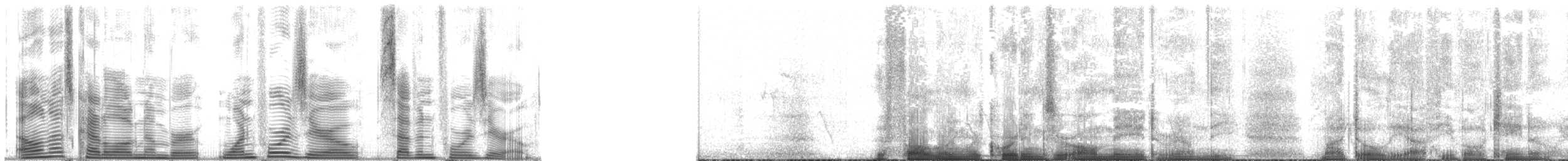 Самоанская белоглазка - ML140740