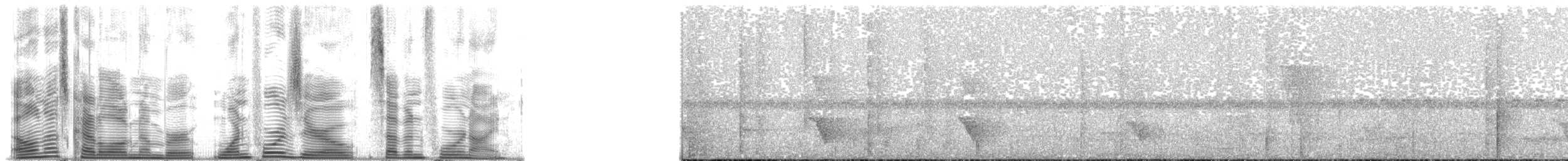holub mnohobarvý - ML140749