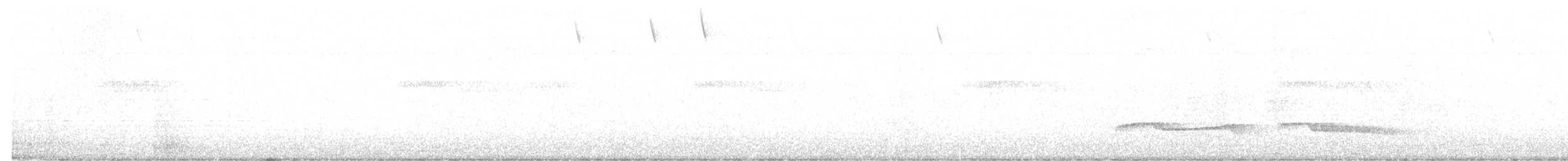 Дрімлюга гірський (підвид poliocephalus) - ML140776071