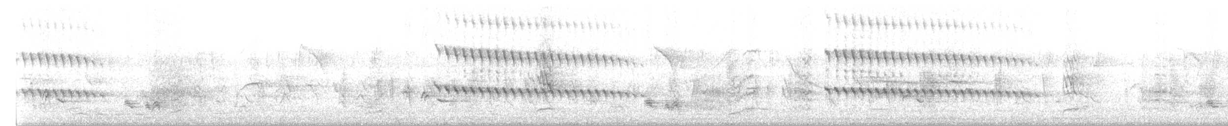 שלדג לבן-חזה - ML140869861