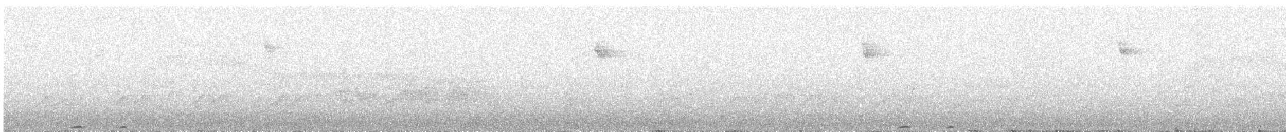 Lesson's Motmot - ML140946781