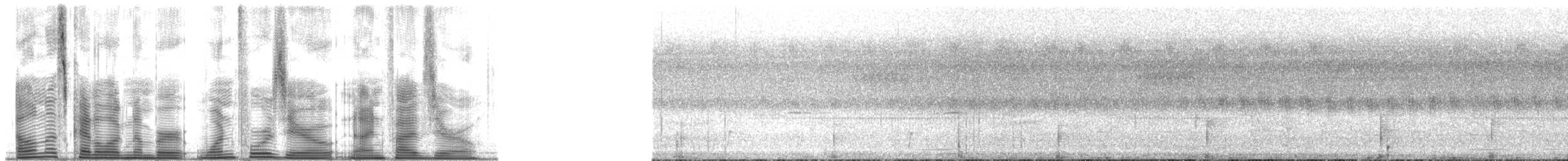 African Finfoot - ML140950