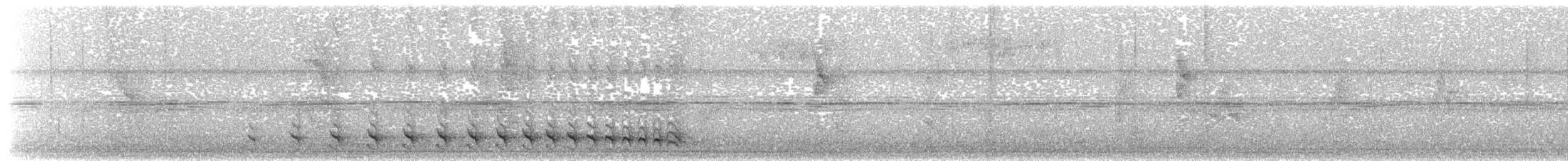Bar-crested Antshrike - ML140976111