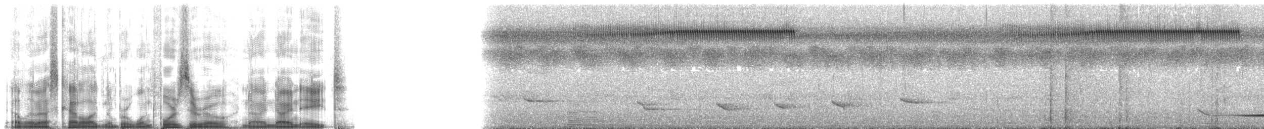 Turatiwürger - ML140998