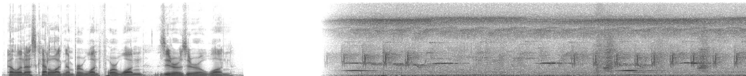 Turatiwürger - ML141001