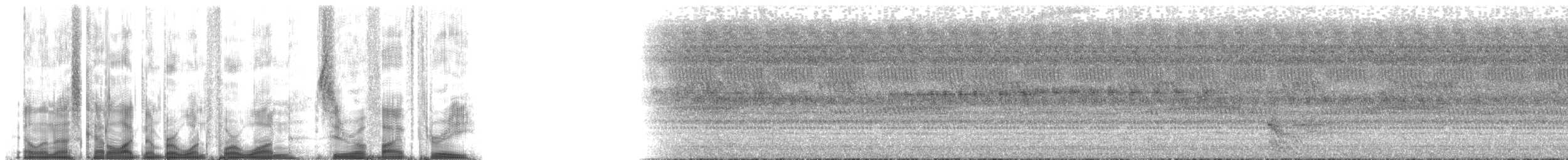 Чапля мангрова [група atricapilla] - ML141053