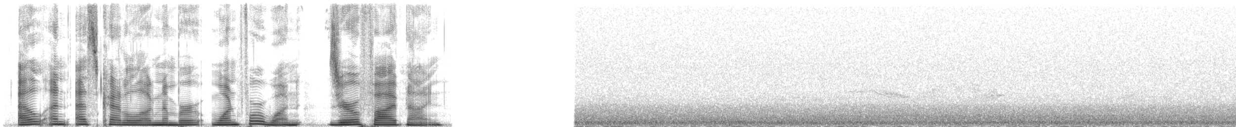 steinskvett (oenanthe/libanotica) - ML141059