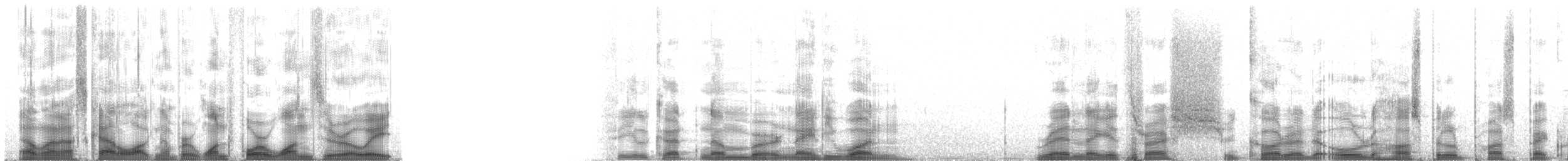 Merle vantard (plumbeus) - ML14108