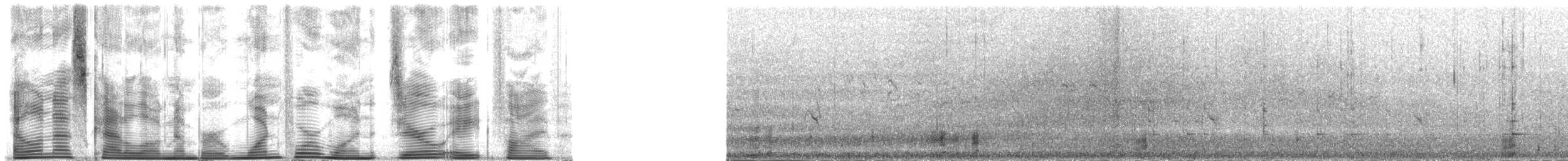 黑雁(nigricans) - ML141085