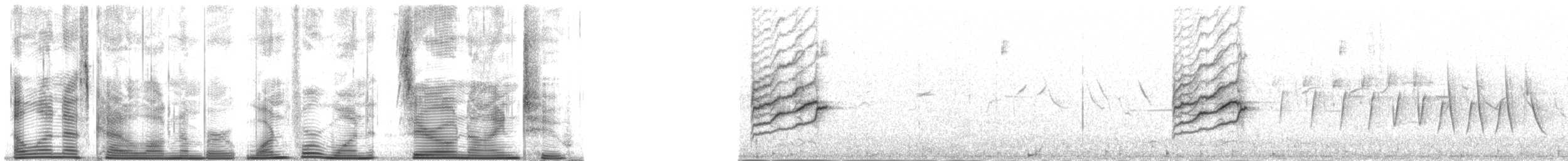 Redpoll (Hoary) - ML141092