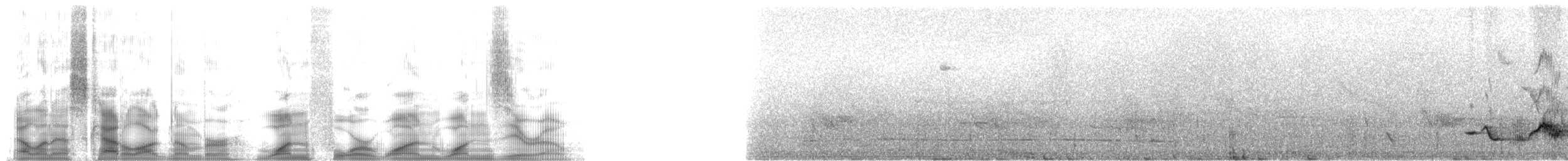 Сине-белый пересмешник - ML14110