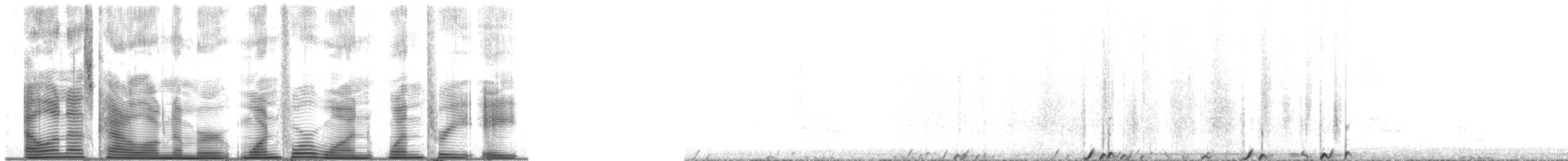 Gallo de las Artemisas Chico - ML141138