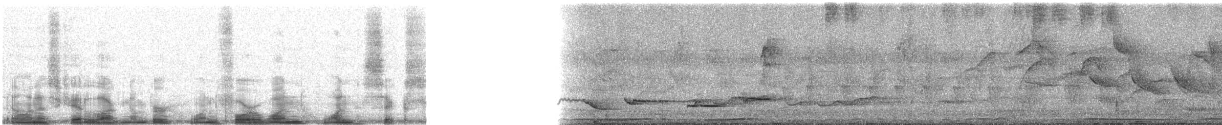 Rufous-bellied Thrush - ML14116