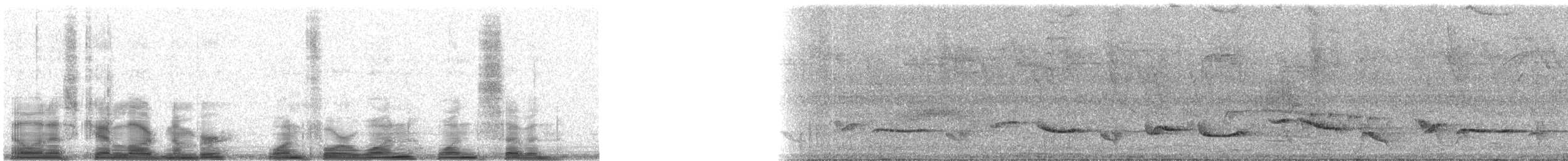 Rufous-bellied Thrush - ML14117