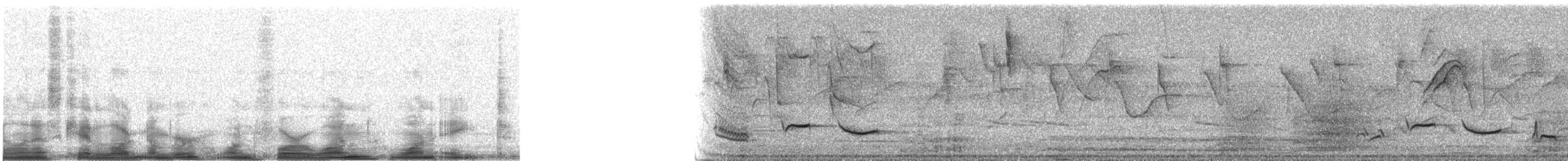 Rufous-bellied Thrush - ML14118