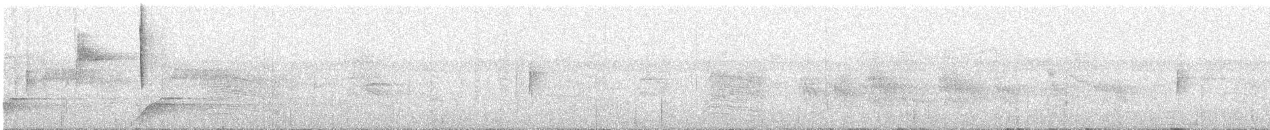 Малая вильсония - ML141242021