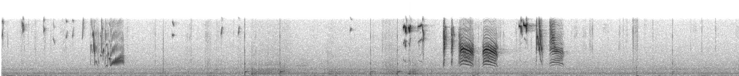 Сероголовая гаичка - ML141309181