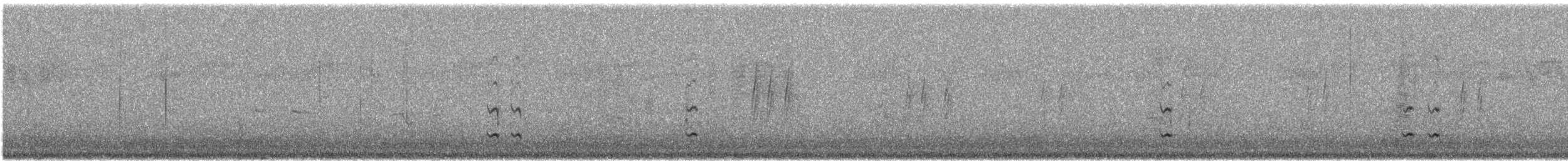 Тасманийскый радужник - ML141325521