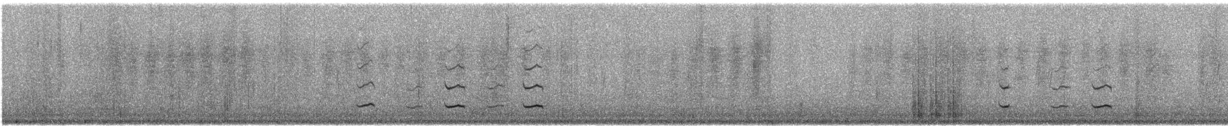 Тасманийскый радужник - ML141325741