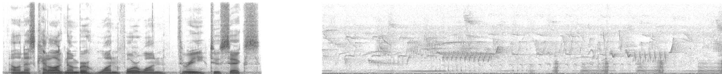 Ganso del Orinoco - ML141326