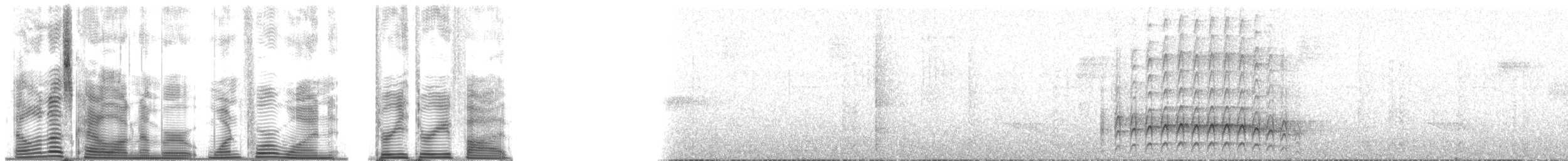 Длинноклювый улиткоед (uncinatus) - ML141335