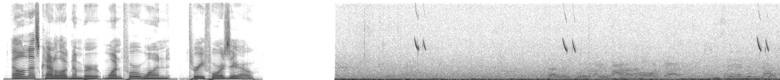 vlaštovka bahamská - ML141340