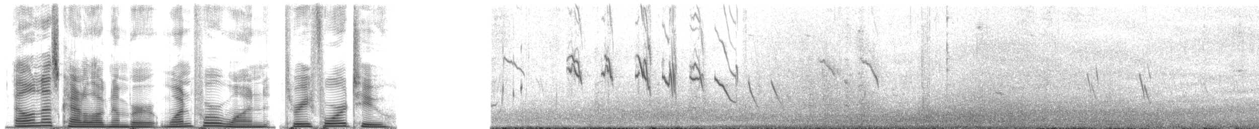 vlaštovka bahamská - ML141342