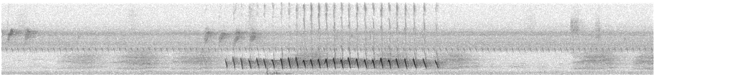 Méliphage de Lewin - ML141350841