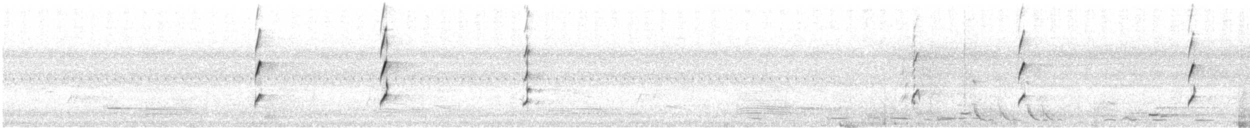 Méliphage bruyant - ML141351021