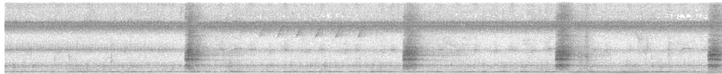 Bornean Ground-Cuckoo - ML141381241